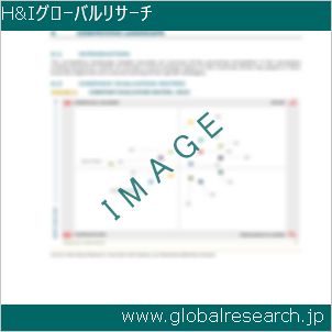 グローバルリサーチ調査レポートのイメージ